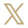 x icon